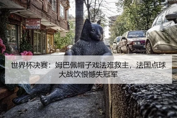 shi-jie-bei-jue-sai-mu-ba-pei-mao-zi-xi-fa-nan-jiu-zhu-fa-guo-dian-qiu-da-zhan-yin-hen-han-shi-guan-jun-3-274.jpg